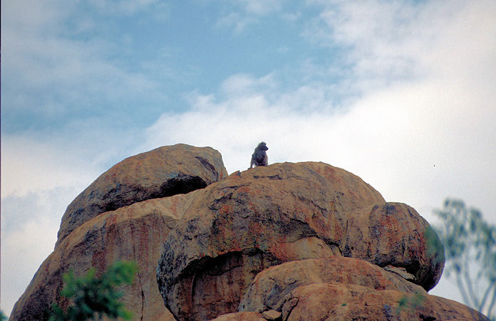 Sudafrika bis Tansania 1995-02-012.jpg