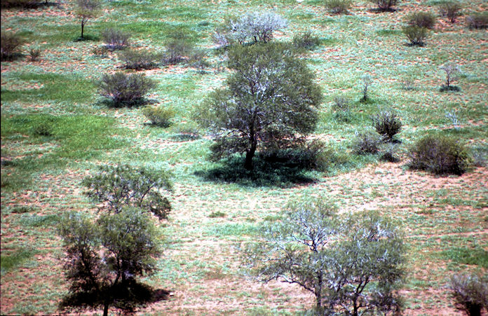 Sudafrika bis Tansania 1995-01-090.jpg