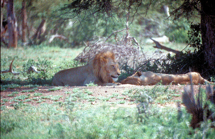 Sudafrika bis Tansania 1995-01-100.jpg