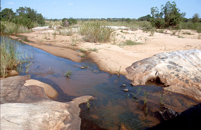 Sudafrika bis Tansania 1995-01-104.jpg