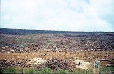 Thumbnail of Sudafrika bis Tansania 1995-01-132.jpg