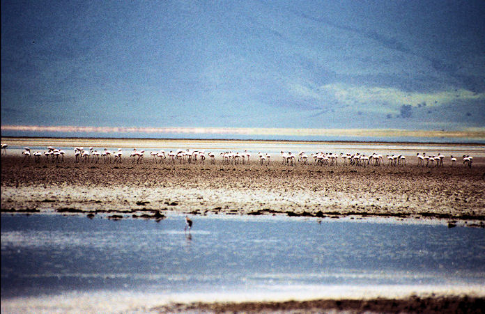 Sudafrika bis Tansania 1995-02-143.jpg