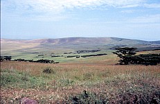 Thumbnail of Sudafrika bis Tansania 1995-02-135.jpg