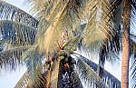 Thumbnail of Vietnam Brunei Malaysia-03-140.jpg