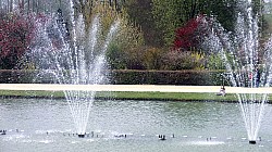 Thumbnail of CIMG0077versailles.jpg