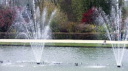 Thumbnail of CIMG0077versailles.jpg