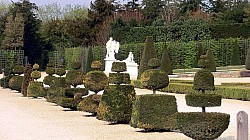 Thumbnail of CIMG0097versailles.jpg