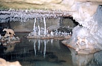 Thumbnail of Loire 1986-102.jpg