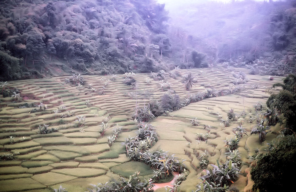 Indonesien 1991-01-026.jpg