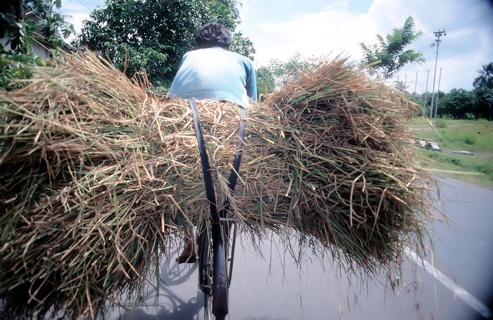 Indonesien 1991-01-052.jpg
