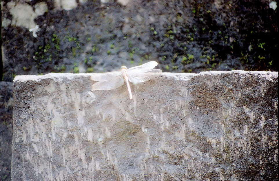 Indonesien 1991-01-055.jpg