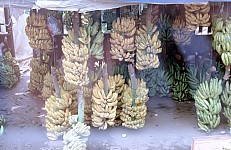 Thumbnail of Indonesien 1991-01-013.jpg