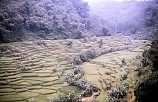 Thumbnail of Indonesien 1991-01-026.jpg