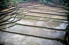 Thumbnail of Indonesien 1991-01-027.jpg