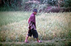 Thumbnail of Indonesien 1991-01-028.jpg