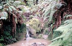Thumbnail of Indonesien 1991-01-032.jpg