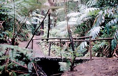 Thumbnail of Indonesien 1991-01-033.jpg