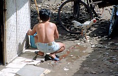 Thumbnail of Indonesien 1991-01-036.jpg