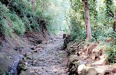 Thumbnail of Indonesien 1991-01-042.jpg