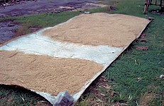 Thumbnail of Indonesien 1991-01-048.jpg