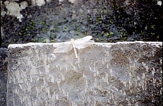 Thumbnail of Indonesien 1991-01-055.jpg