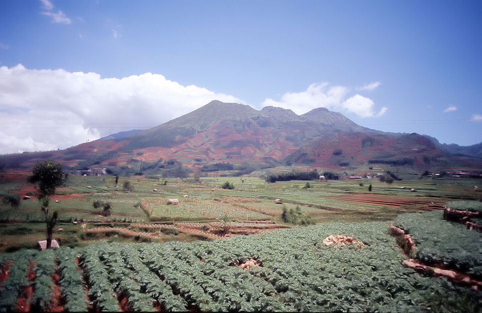 Indonesien 1991-01-097.jpg