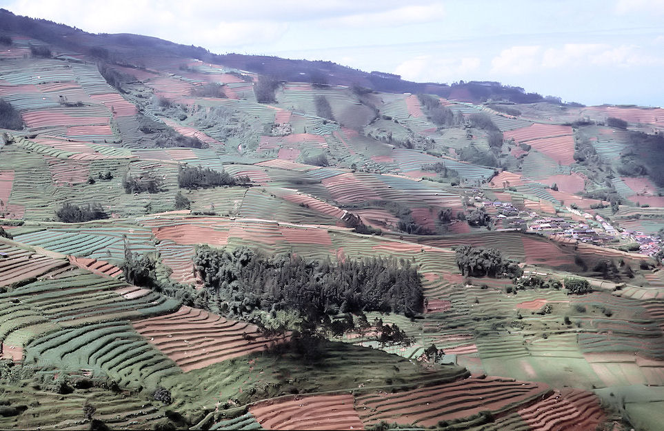 Indonesien 1991-01-109.jpg