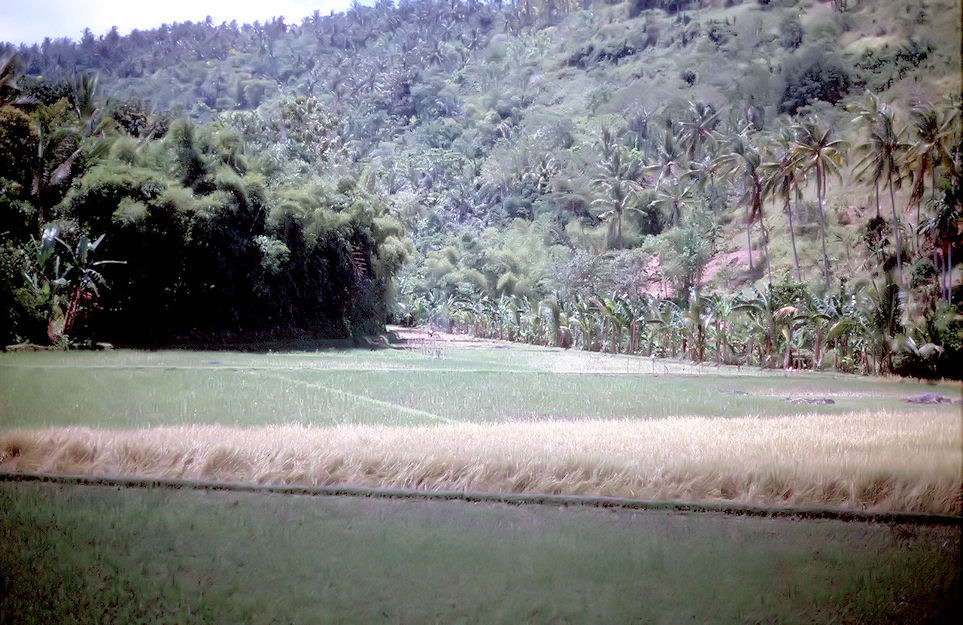 Indonesien 1991-01-139.jpg