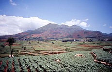 Thumbnail of Indonesien 1991-01-097.jpg