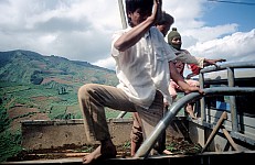 Thumbnail of Indonesien 1991-01-108.jpg