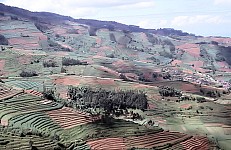 Thumbnail of Indonesien 1991-01-109.jpg