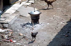 Thumbnail of Indonesien 1991-01-122.jpg