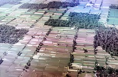 Thumbnail of Indonesien 1991-01-127.jpg