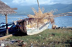 Thumbnail of Indonesien 1991-02-013.jpg