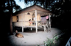 Thumbnail of Indonesien 1991-02-017.jpg