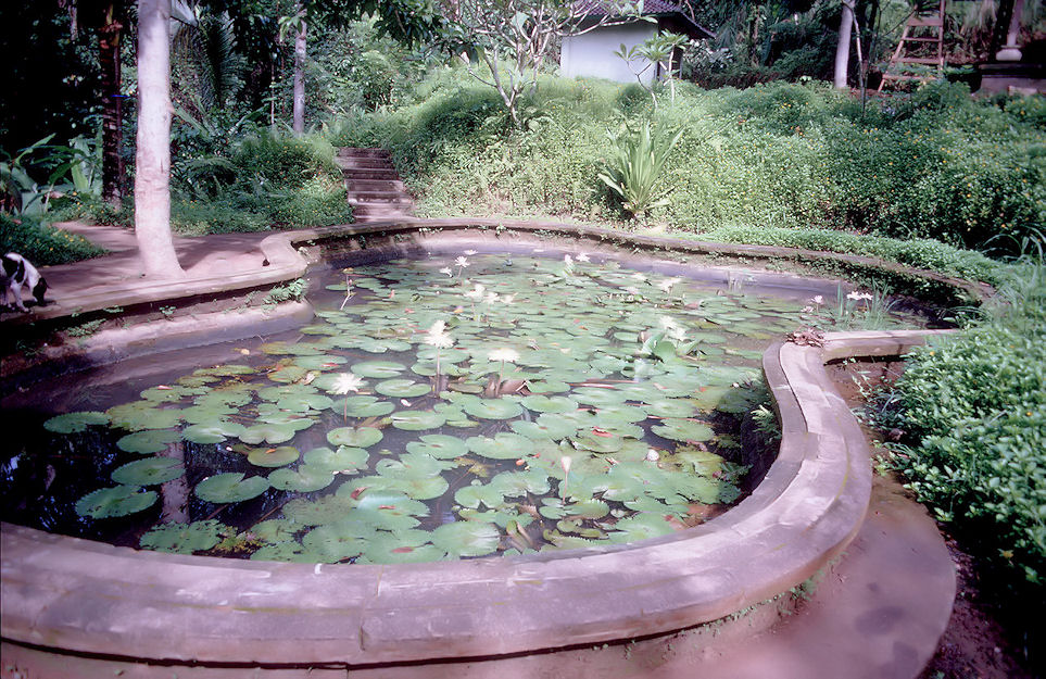 Indonesien 1991-02-105.jpg