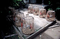 Thumbnail of Indonesien 1991-02-055.jpg