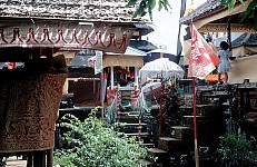 Thumbnail of Indonesien 1991-02-061.jpg