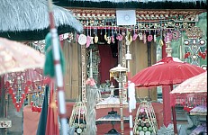 Thumbnail of Indonesien 1991-02-072.jpg