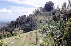 Thumbnail of Indonesien 1991-02-082.jpg