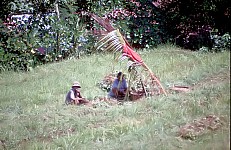 Thumbnail of Indonesien 1991-02-083.jpg