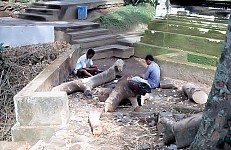 Thumbnail of Indonesien 1991-02-103.jpg