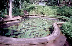 Thumbnail of Indonesien 1991-02-105.jpg