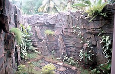 Thumbnail of Indonesien 1991-02-130.jpg