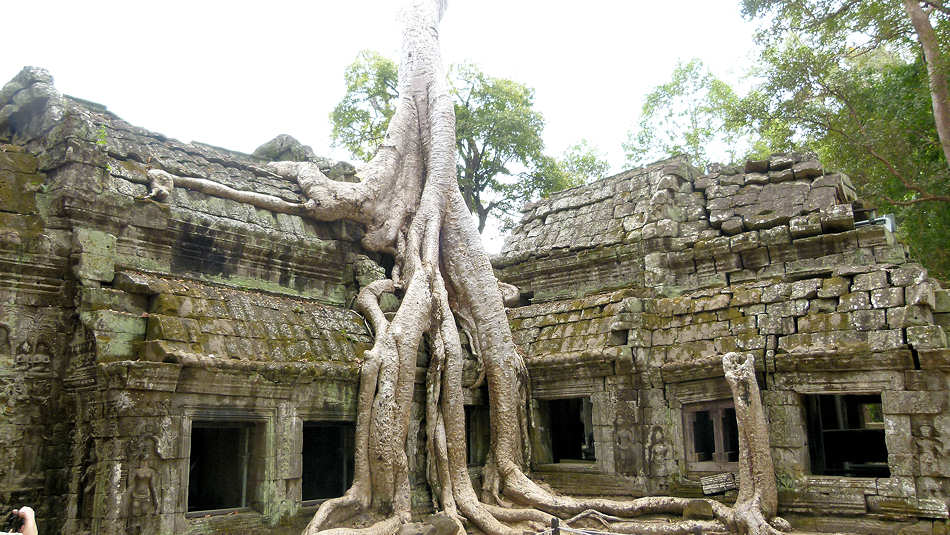 P1010278_Ta_Prohm.jpg