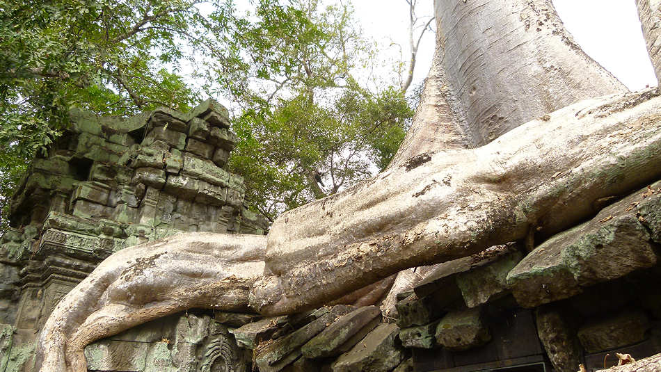 P1010286_Ta_Prohm.jpg