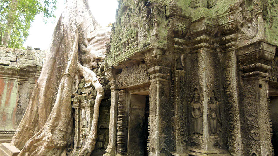 P1010290_Ta_Prohm.jpg
