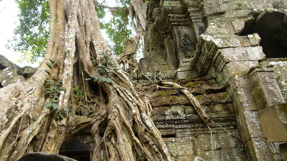P1010293_Ta_Prohm.jpg