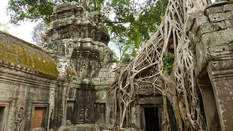 P1010308_Ta_Prohm.jpg