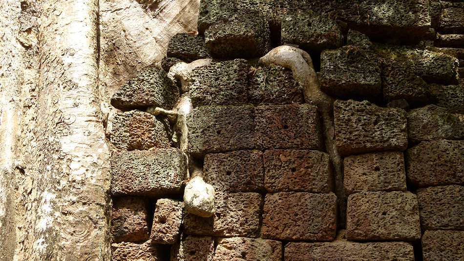 P1010326_Ta_Prohm.jpg